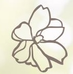 Natalie & Co Real Estate Consultants logo flower drawing