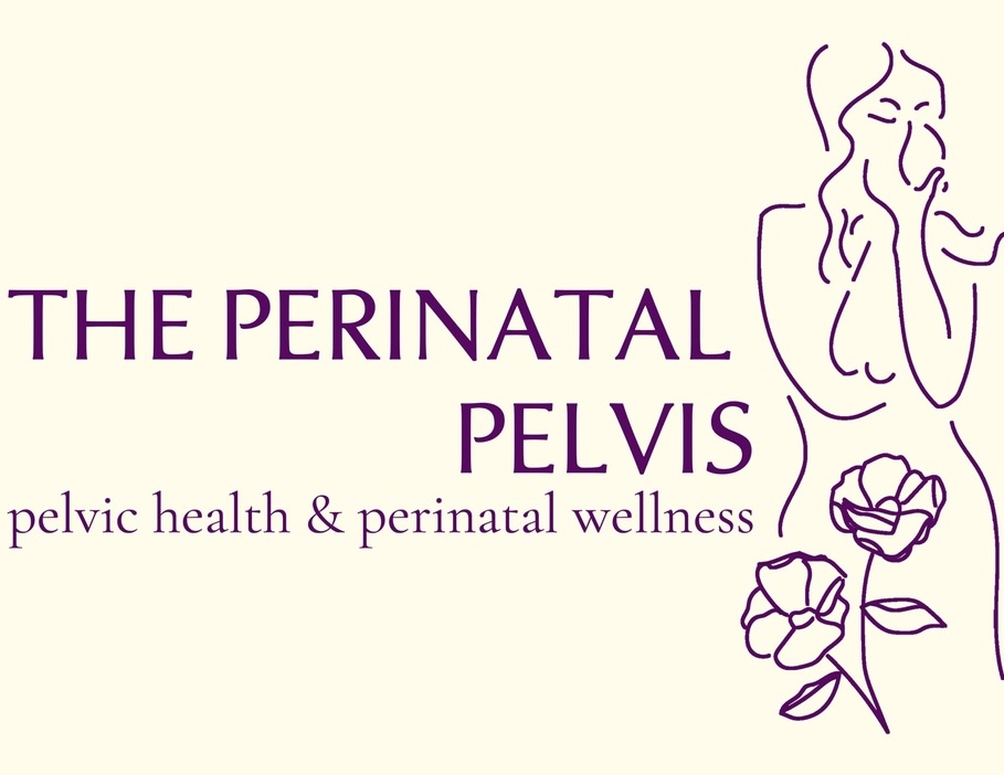 the perinatal pelvis logo